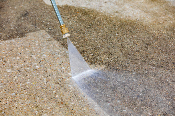 Best Animal Enclosure Cleaning  in Bridgetown, MS