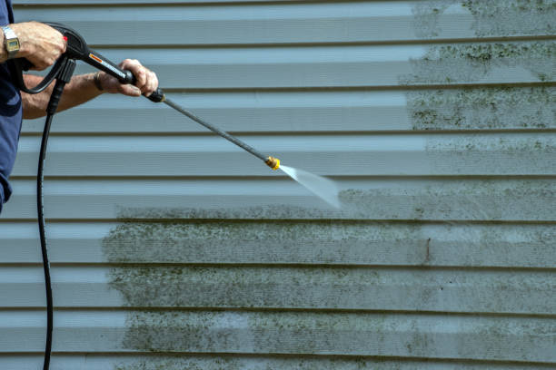 Best Gutter Cleaning  in Bridgetown, MS